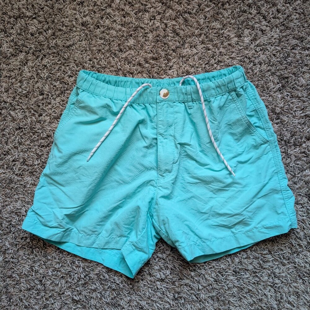 Chubbies Men's Lake Swim Shorts - Seafoam - Medium - RARE